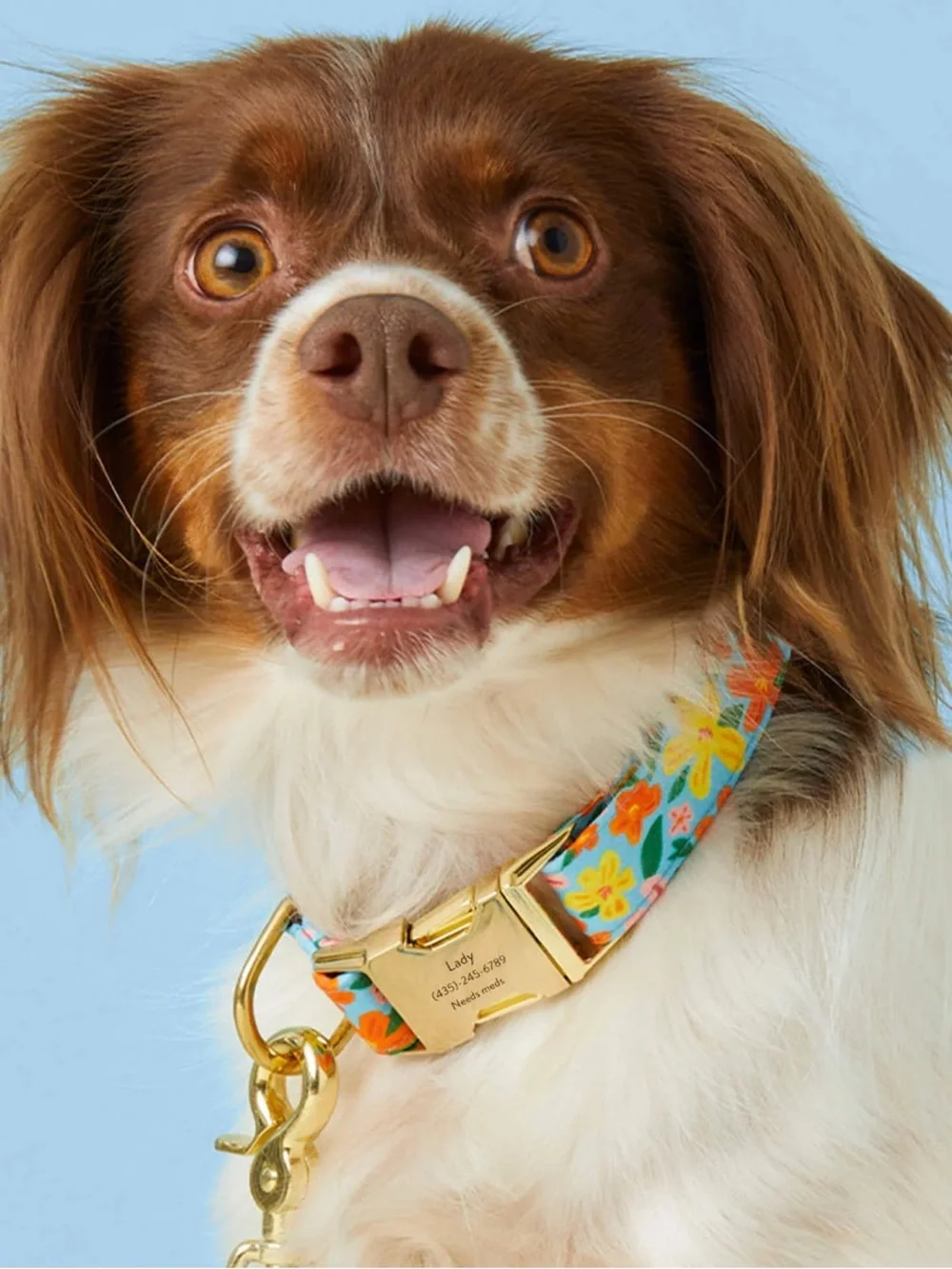 The Foggy Dog ‘Island Time’ - Dog Collar